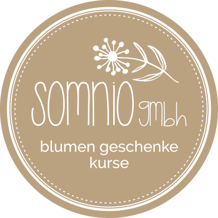 Logo Somnio